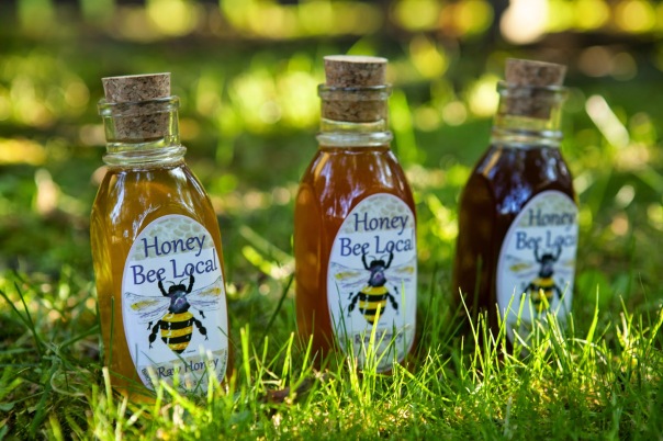 3 8oz Jars -  Varietal Honeys (Light, Medium, Dark)